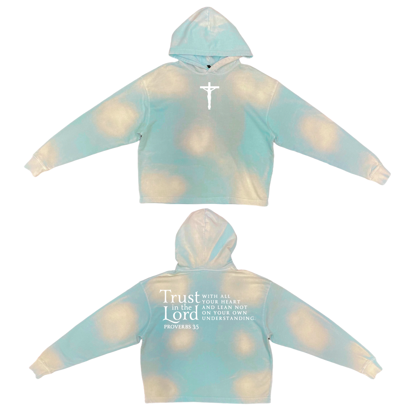 Proverbs 3:5 Sun-Dried Hoodie