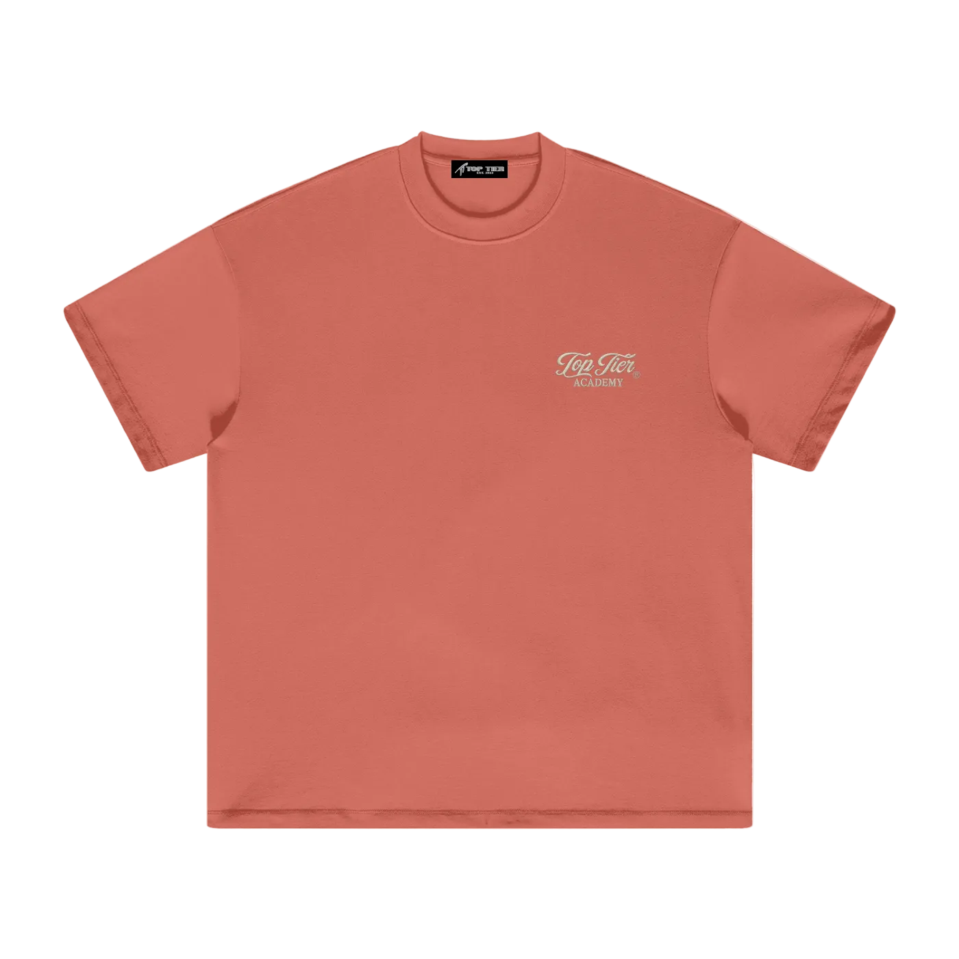 "Ice Cold" Heavyweight Earth Tone T-Shirt